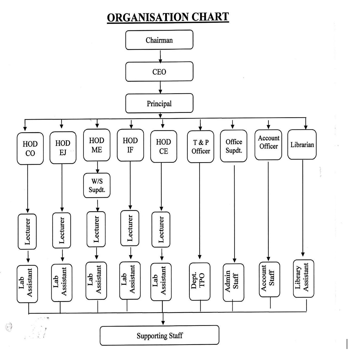 Nba Organizational Chart